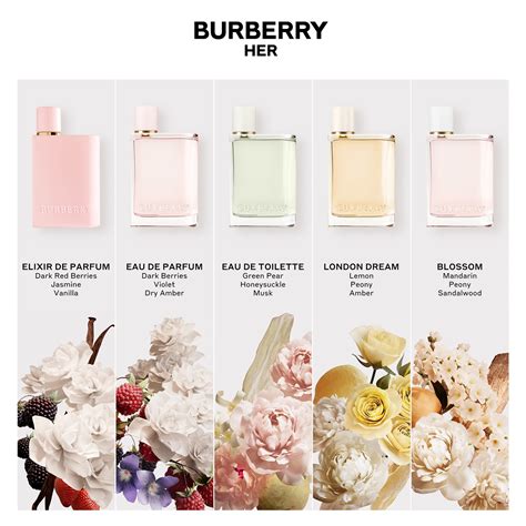 burberry elixir